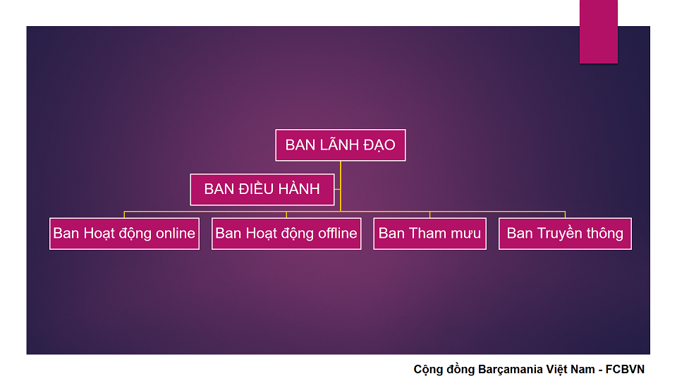 Cơ cấu tổ chức FCBVN nhiệm kỳ VI