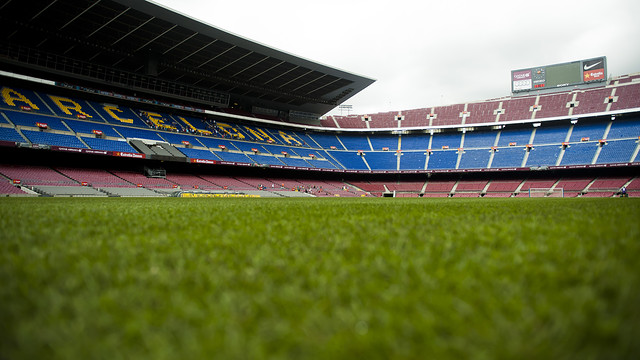Thảm cỏ mới của Camp Nou