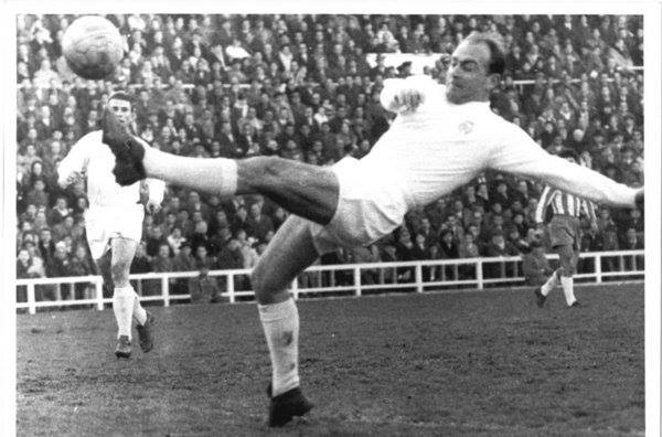 Di Stefano